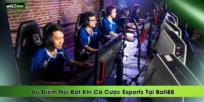 Tỷ Lệ Kèo Esports Ball88 | Tại Sao Gây Sốt Cộng Đồng Mạng | BALL88 🌟 Nhà Cái Uy Tín 2026 - Link Vào BALL 88 Thể Thao Không Bị Chặn - winrova69.casa Tỷ Lệ Kèo Esports Ball88 | Tại Sao Gây Sốt Cộng Đồng Mạng | BALL88 🌟 Nhà Cái Uy Tín 2026 - Link Vào BALL 88 Thể Thao Không Bị Chặn - winrova69.casa
